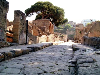 Ancient Herculaneum Tour